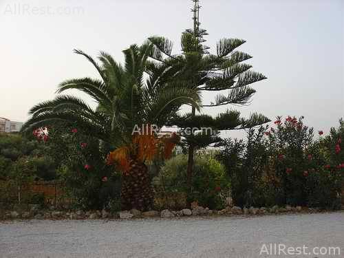 Alexandros Studios & Apartments 6